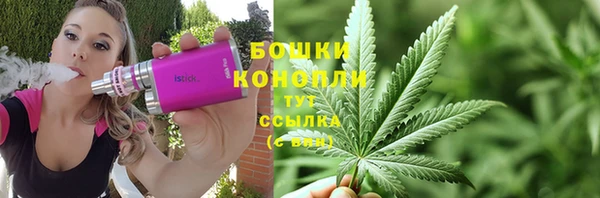 СК Бородино