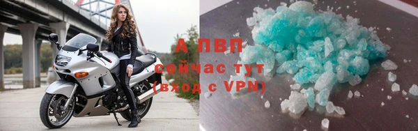 ПСИЛОЦИБИНОВЫЕ ГРИБЫ Бронницы