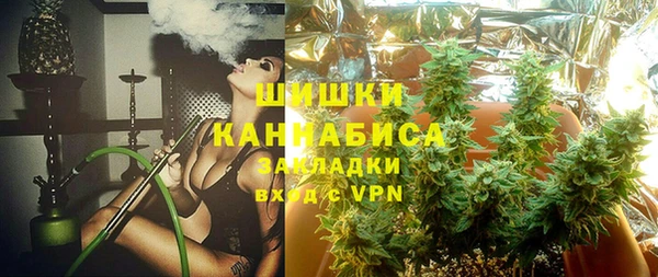 СК Бородино