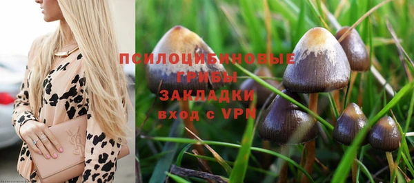 ПСИЛОЦИБИНОВЫЕ ГРИБЫ Бронницы