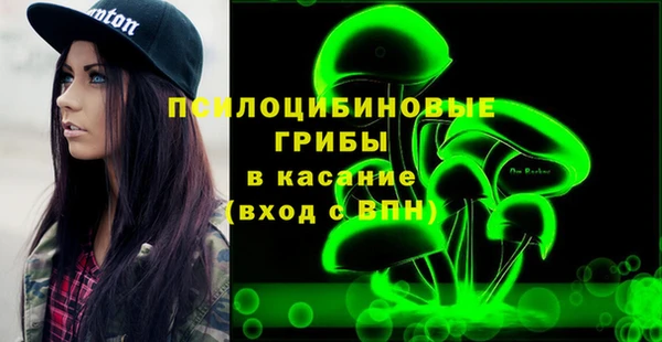 ПСИЛОЦИБИНОВЫЕ ГРИБЫ Бронницы